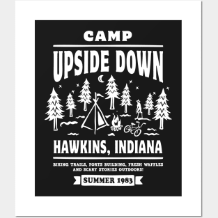 Camp Upside Down Posters and Art